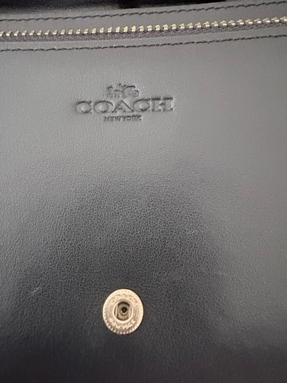 Coach Hayden Foldover Lizard Embossed Crossbody Clutch